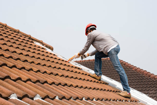 Best Roof Insulation Installation  in Paramount, CA